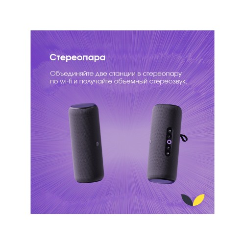 Умная портативная колонка Яндекс Станция Стрит с Алисой, черный (YNDX-00030BLK)