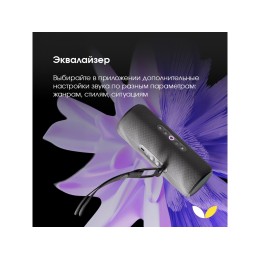 Умная портативная колонка Яндекс Станция Стрит с Алисой, черный (YNDX-00030BLK)