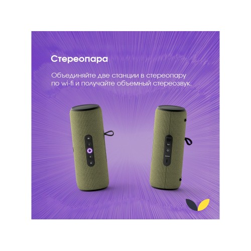 Умная портативная колонка Яндекс Станция Стрит с Алисой, зеленый (YNDX-00030GRN)