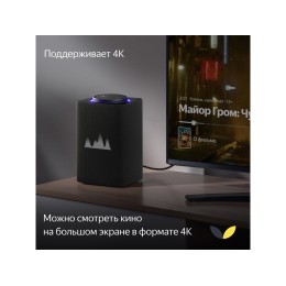 Умная колонка ЯНДЕКС Станция Макс с Алисой, с Zigbee, 65 Вт, цвет: графит (YNDX-00053K)