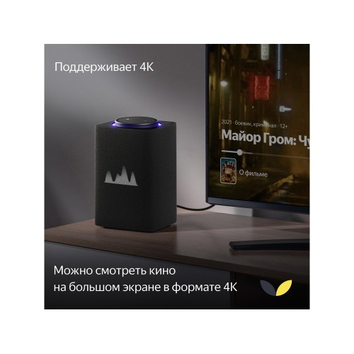 Умная колонка ЯНДЕКС Станция Макс с Алисой, с Zigbee, 65 Вт, цвет: графит (YNDX-00053K)