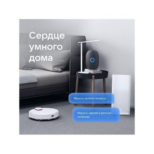 Умная колонка VK Капсула с голосовым помощником Марусей, черный