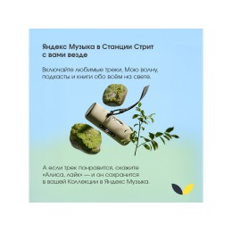 Умная портативная колонка Яндекс Станция Стрит с Алисой, зеленый (YNDX-00030GRN)