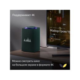 Умная колонка ЯНДЕКС Станция Макс с Алисой, с Zigbee, 65 Вт, цвет: зеленый (YNDX-00053Z)
