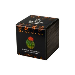 Набор для выращивания "Small village cube "Эхинокактус Альбинос"