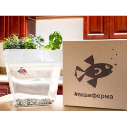 Набор для выращивания растений и ухода за рыбкой "Акваферма"