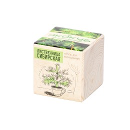Набор для выращивания "Экокуб Classic "Лиственница Сибирская"