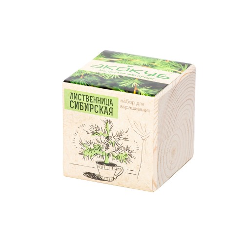 Набор для выращивания "Экокуб Classic "Лиственница Сибирская"