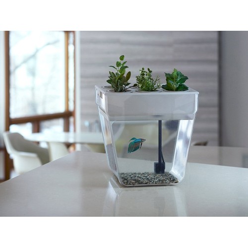 Набор для выращивания растений и ухода за рыбкой "Акваферма"