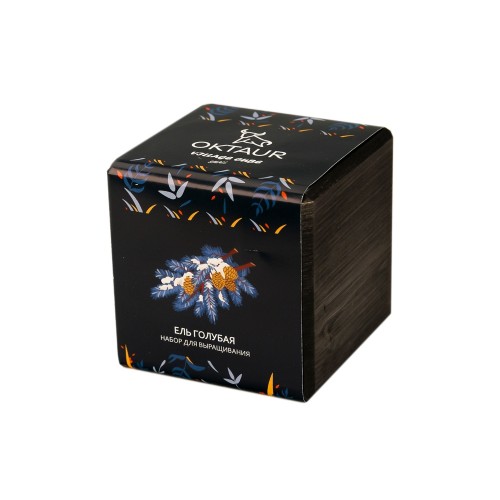 Набор для выращивания "Small village cube "Ель Голубая"