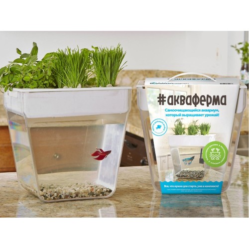 Набор для выращивания растений и ухода за рыбкой "Акваферма"