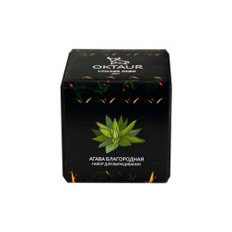 Набор для выращивания "Small village cube "Агава Благородная"