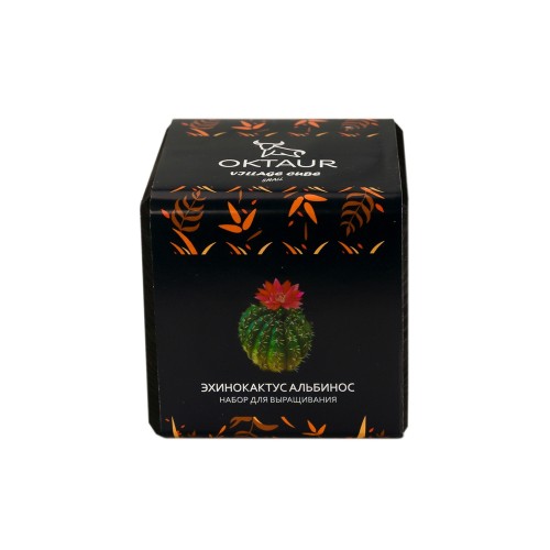 Набор для выращивания "Small village cube "Эхинокактус Альбинос"