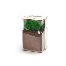 Композиция "Мох в интерьере" мокко, зеленый