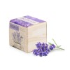 Набор для выращивания "Экокуб Classic "Лаванда"