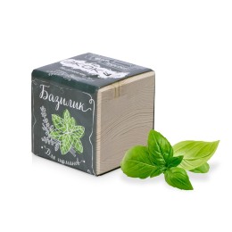 Набор для выращивания "Экокуб Classic "Базилик"