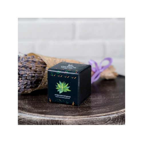 Набор для выращивания "Small village cube "Агава Благородная"