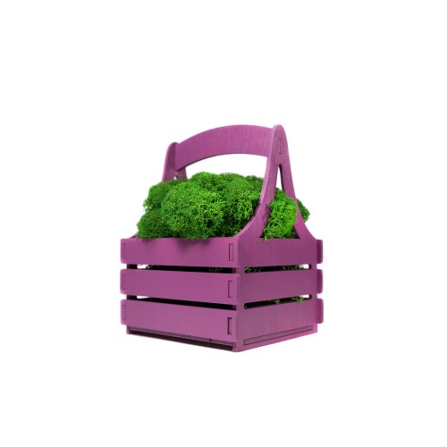 Композиция "Корзинка со мхом", фиолетовый