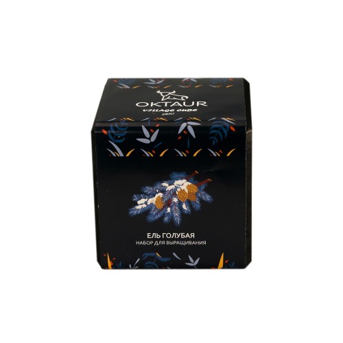 Набор для выращивания "Small village cube "Ель Голубая"