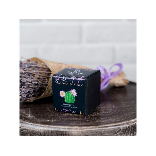 Набор для выращивания "Small village cube "Эхиноцереус"