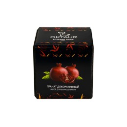 Набор для выращивания "Small village cube "Гранат комнатный"