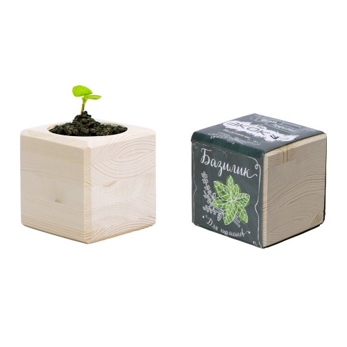 Набор для выращивания "Экокуб Classic "Базилик"