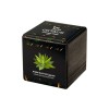 Набор для выращивания "Small village cube "Агава Благородная"