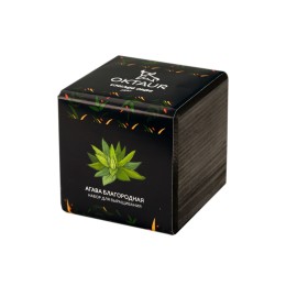 Набор для выращивания "Small village cube "Агава Благородная"