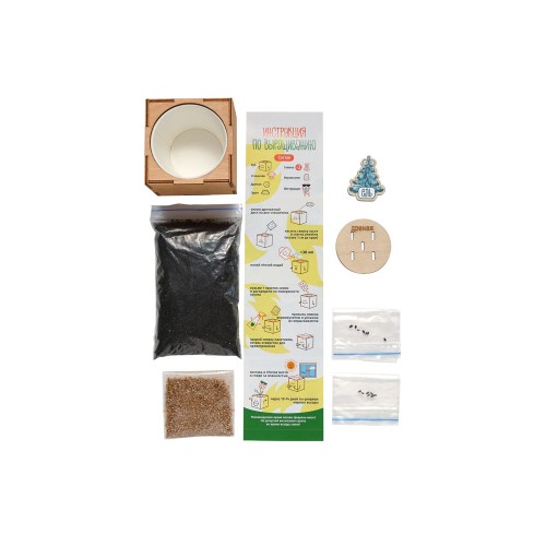 Набор для выращивания "Экокуб Magicme "Ель Голубая"