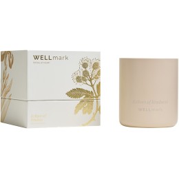 Ароматическая свеча Wellmark "Echoes of Kindness"- Ecru бежевый