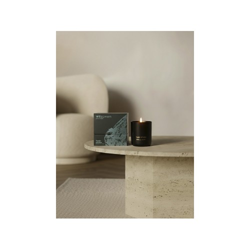 Ароматическая свеча Wellmark "Tender Affection" - сплошной черный