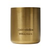 Ароматическая свеча Wellmark «Quiet Rebellion» - Золотой