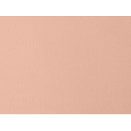 Футболка Berlin к/р оверсайз, 100% хлопок, 180гр, лососевый