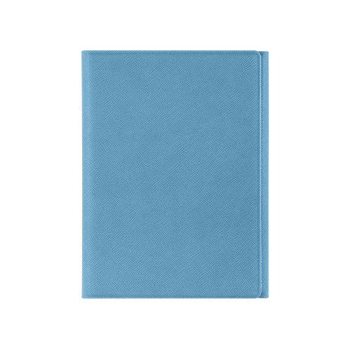 Обложка на магнитах для автодокументов и паспорта "Favor", голубая
