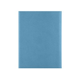 Обложка на магнитах для автодокументов и паспорта "Favor", голубая