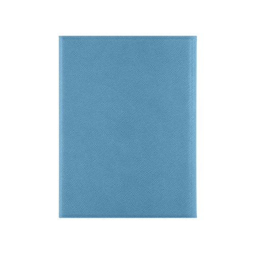 Обложка на магнитах для автодокументов и паспорта "Favor", голубая