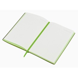 Бизнес-блокнот C1 софт-тач, гибкая обложка, 128 листов, зеленое яблоко (Р)