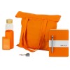 Welcome pack "Color Refine", оранжевый
