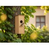 Скворечник DIY